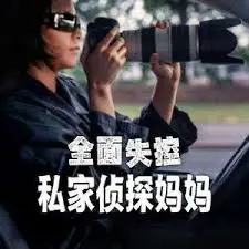 《全面失控：私家侦探妈妈》：当家庭主妇变身超强侦探，爆笑悬疑High翻天！